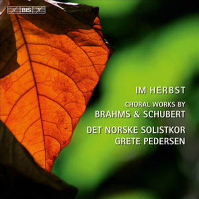 브람스 &amp; 슈베르트 : 합창곡집 (Im Herbst - Choral works by Brahms and Schubert) (SACD Hybrid) - Det Norske Solistkor