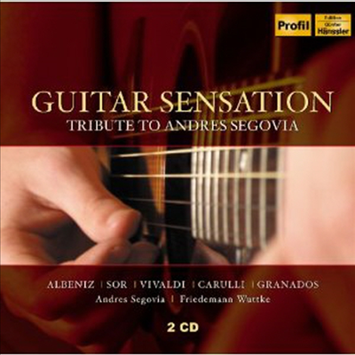 기타 센세이션 - 세고비아 헌정 앨범 (Guitar Sensation - Tribute to Andres Segovia) (2CD) - Friedemann Wuttke