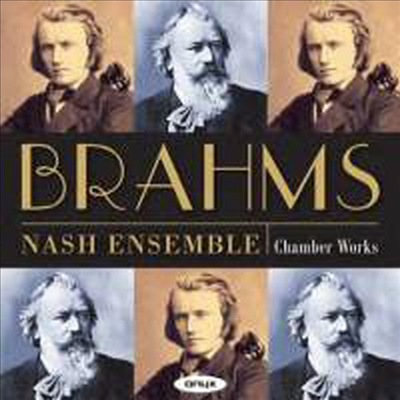 브람스: 실내악 작품집 (Brahms: Chamber Works) (4CD Boxset) - Nash Ensemble