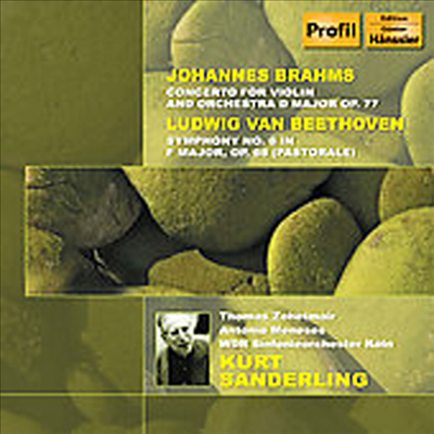 베토벤: 교향곡 6번 '전원', 브람스: 이중 협주곡, 베토벤: 합창 환상곡 (쿠르트 잔더를링 95세 생일 기념) (Beethoven: Symphony No.6 Op.68 'Pastoral', Fantasia Op.80 'Choral Fantassy', Brahms: Double Concer