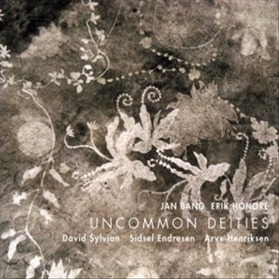 David Sylvain / Jan Bang / Erik Honore / Sidsel Endresen / Arve Henriksen - Uncommon Deities