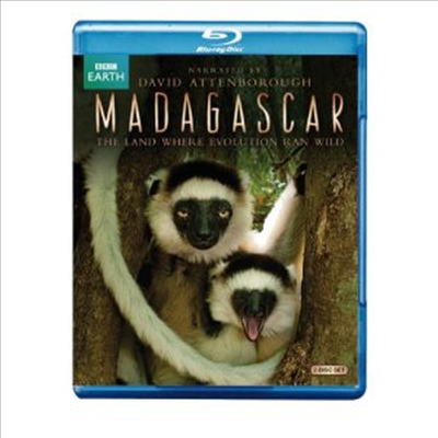 Madagascar (마다가스카) (한글무자막)(2Blu-ray) (2013)