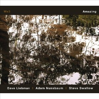 Dave Liebman/Adam Nussbaum/Steve Swallow - Amazing (CD)