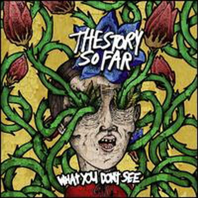 Story So Far - What You Don&#39;T See (CD)