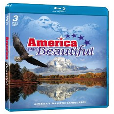 America the Beautiful (아메리칸 더 뷰티풀) (한글무자막)(Blu-ray) (2011)