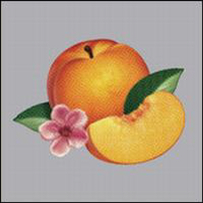 Phoenix - Bankrupt! (CD)