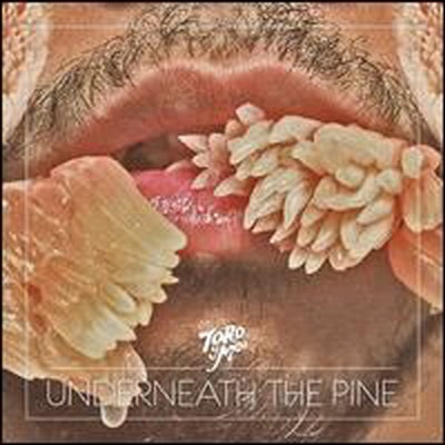 Toro Y Moi - Underneath The Pine (LP)
