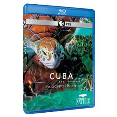 Cuba: The Accidental Eden (쿠바:더 액시덴틀 에덴) (한글무자막)(Blu-ray) (2010)