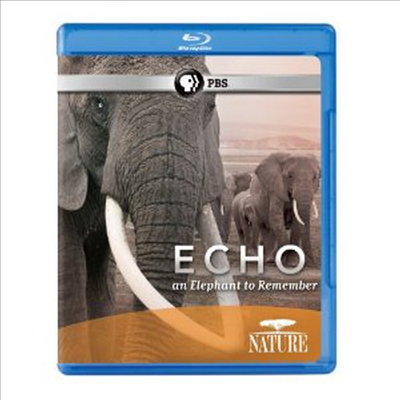 Echo: An Elephant to Remember (기억하고 싶은 코끼리 에코) (한글무자막)(Blu-ray) (2010)