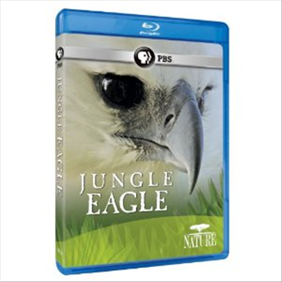 Nature: Jungle Eagle (정글 이글) (한글무자막)(Blu-ray) (2011)