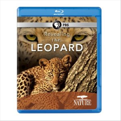 Nature: Revealing the Leopard (리빌링 더 레오파드) (한글무자막)(Blu-ray) (2011)