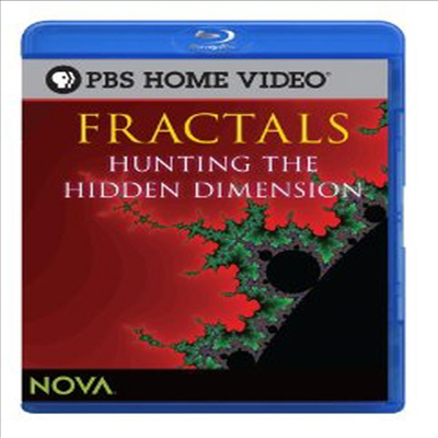 Fractals: Hunting The Hidden Dimension