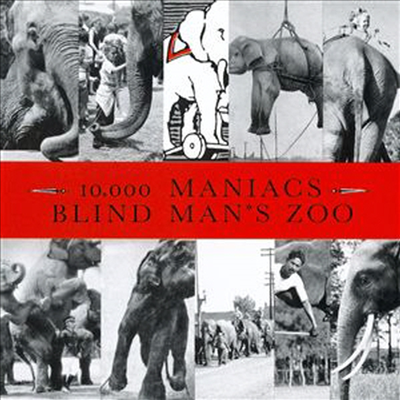 10,000 Maniacs - Blind Man's Zoo (CD-R)