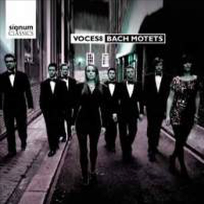 바흐 : 모테트 (Bach : Motets, BWV225-230)(CD) - Voces8