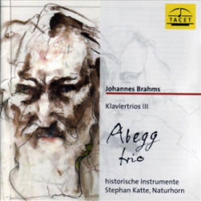 브람스 : 피아노 삼중주 Op.40 & 6중주 Op.36 (Brahms : Klaviertios III)(CD) - Abergg Trio