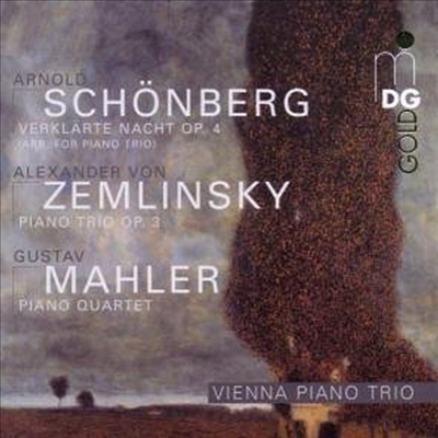 쇤베르크 : 정화된 밤, 쳄린스키 : 삼중주, 말러 : 현악 사중주 (Schonberg : Verklarte Nacht Op.4, Zemlinsky : Trio Op.3, Mahler : String Quartet)(CD) - Vienna Piano Trio