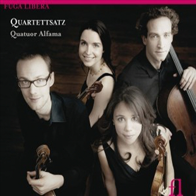 낭만주의 작곡가들의 사중주 악장 (Quartettsatz) (Digipack) (CD) - Quatuor Alfama