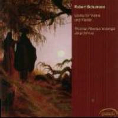 슈만 &amp; 브람스 : 바이올린 작품집 (Schumann &amp; Brahms : Works for Violin and Fortepiano)(CD) - Thomas Albertus Irnberger