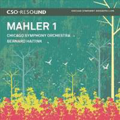 말러 : 교향곡 제1번 (Mahler : Symphony No.1 in D major &#39;Titan&#39;)(CD) - Bernard Haitink