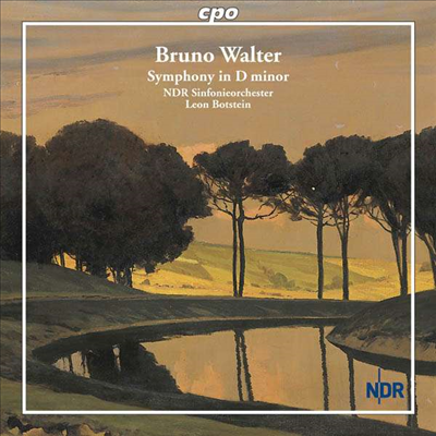 브루노 발터 : 교향곡 D단조(Bruno Walter : Symphony in D minor)(CD) - Leon Botstein