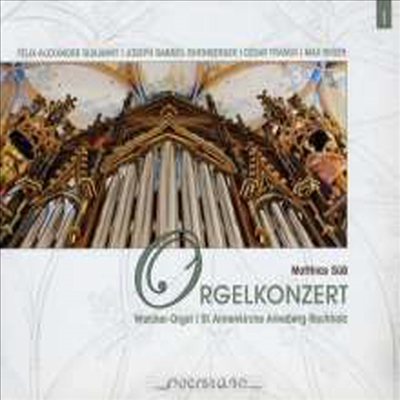19세기 낭만 오르간 작품집 - 성 안나 성당의 오르간 (19 Century Romatic Works for Organ - Walcker-Orgel St. Annenkirche Annaberg-Buchholz) (Digipack)(CD) - Matthias Suess