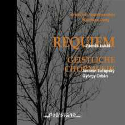 20세기 종교 합창 음악 (20 Century Geistliche Chormusik)(CD) - Matthias Jung