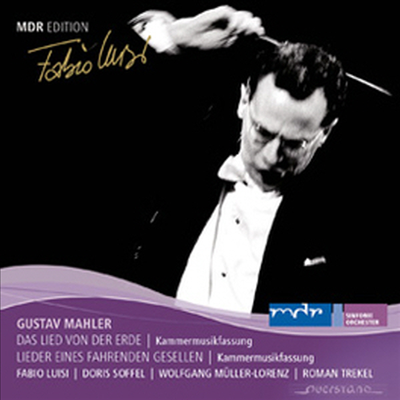 말러 : 대지의 노래 & 방황하는 젊은이의 노래 (Mahler : Das Lied von der Erde & Lieder eines fahrenden Gesellen)(CD) - Doris Soffel