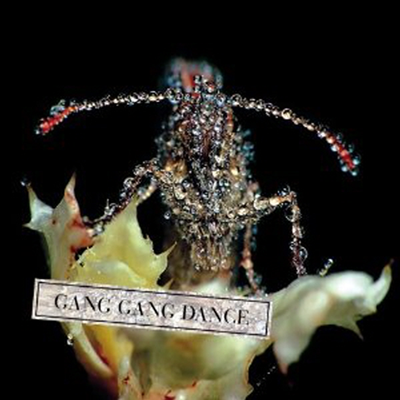 Gang Gang Dance - Eye Contact (Digipack)(CD)