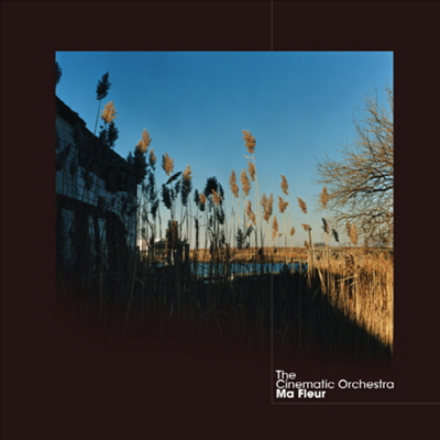 Cinematic Orchestra - Ma Fleur (CD)