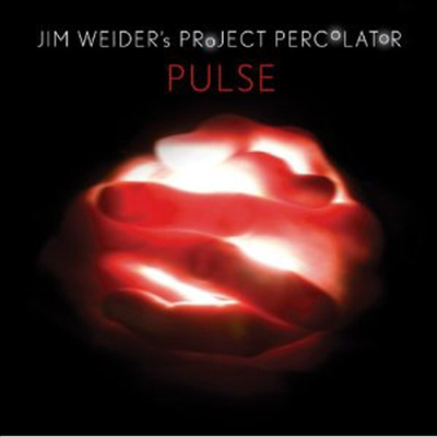 Jim Weider - Pulse (CD)