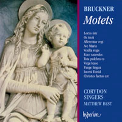 브루크너 : 모테트 (Bruckner : Motets)(CD) - Matthew Best