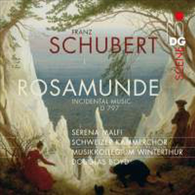 슈베르트 : 극부수음악 '로자문데' (Schubert : Incidental music to Rosamunde, D797) - Douglas Boyd