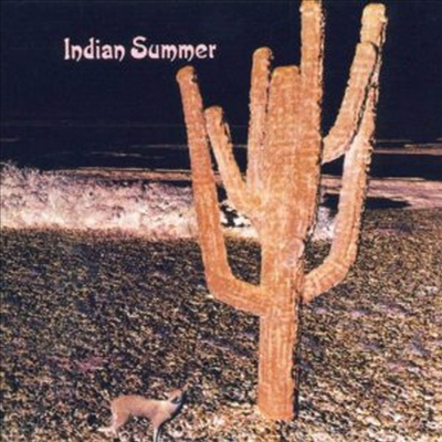 Indian Summer - Indian Summer (Gatefold Sleeve)(180g Heavyweight Vinyl LP)