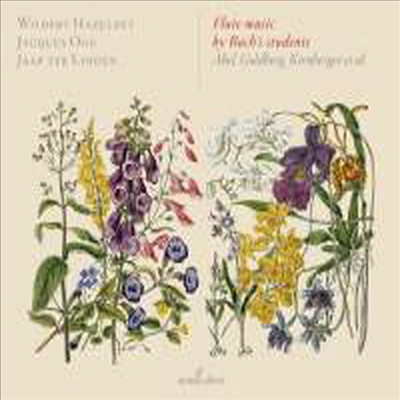 바흐 제자들의 플루트 작품들 (Flute Music by Bach’s students)(CD) - Wilbert Hazelzet