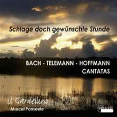 바흐, 호프만 &amp; 텔레만: 칸타타 (Bach, Hoffmann &amp; Telemann: Cantatas)(CD) - Marcel Ponseele