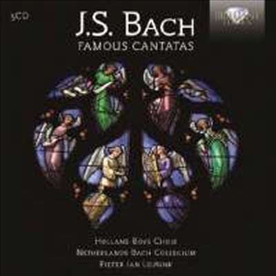 바흐: 유명 칸타타 작품집 (Bach: Famous Cantatas) (5CD Boxset) - Pieter Jan Leusink