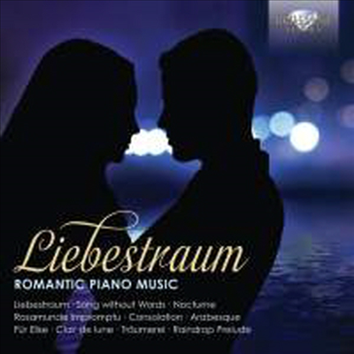 사랑의 꿈 - 로맨틱 피아노 작품집 (Liebestraum - Romantic Piano Music) (2CD) - Misha Goldstein