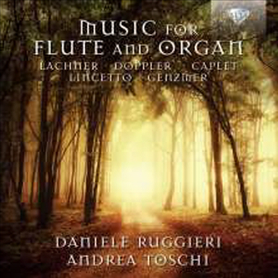 플루트와 오르간을 위한 작품집 (Works for Flute &amp; Organ)(CD) - Daniele Ruggieri