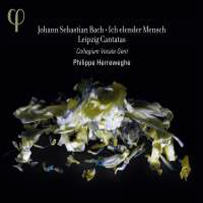 바흐: 4개의 칸타타 작품집 (Bach: Cantata Works)(CD) - Philippe Herreweghe