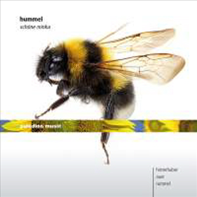 훔멜: 첼로 소나타 & 피아노 소나타 5번 (Hummel: Cello Sonata & Piano Sonata No.5)(CD) - Martin Rummel