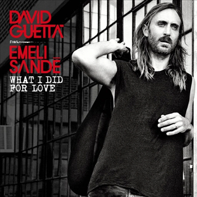 David Guetta - What I Did For Love (EP)(CD)