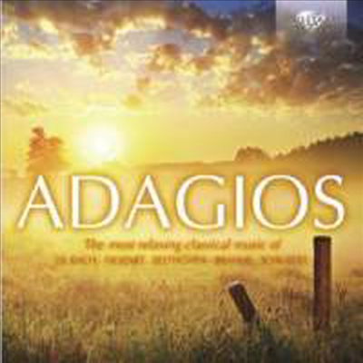 아다지오의 미학 (Adagios) (2CD) - Theodore Kuchar