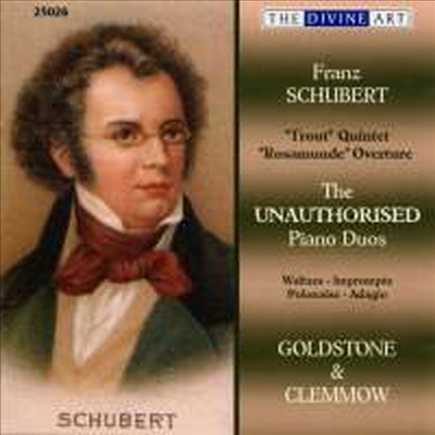 슈베르트: 두 대의 피아노를 위한 편곡반 (Schubert: Works for Two Pianos)(CD) - Goldstone & Clemmow