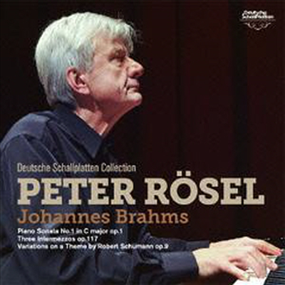 브람스: 피아노 소나타 1번, 세개의 간주곡, 슈만 주제 변주곡 (Brahms: Piano Sonata No.1, 3 Intermezzos Op.117, Variations On A Theme By Robert Schumann Op.9) (일본반)(CD) - Peter Rosel