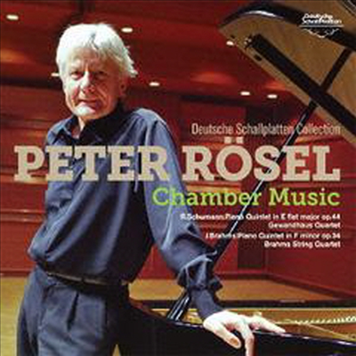 슈만, 브람스: 피아노 오중주 (Schumann, Brahms: Piano Quintets) (일본반)(CD) - Peter Rosel