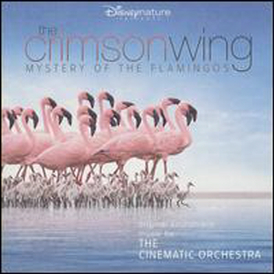 Cinematic Orchestra - Crimson Wing: Mystery Of The Flamingos (크림슨 윙: 미스터리 오브 더 플라밍고) (Soundtrack)(Digipack)(CD)