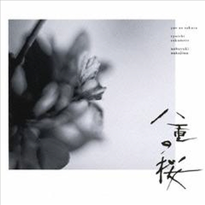 Sakamoto Ryuichi / Nakajima Nobuyuki - Yae no Sakura (야에의 벚꽃) (TV Drama)(Original Soundtrack)(일본반)(CD)