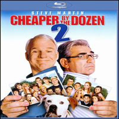 Cheaper by the Dozen 2 (열두명의 웬수들2) (한글무자막)(Blu-ray) (2010)