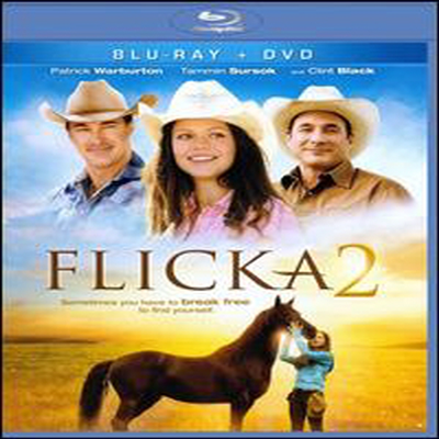 Flicka 2 (플리카2) (한글무자막)(Blu-ray) (2010)