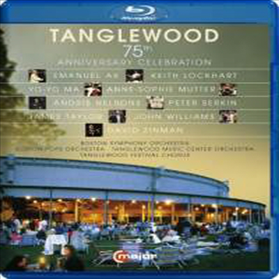 탱글우드 페스티벌 75주년 기념 갈라 콘서트 (Tanglewood 75th Anniversary Celebration) (Blu-ray) (2013) - 여러 아티스트